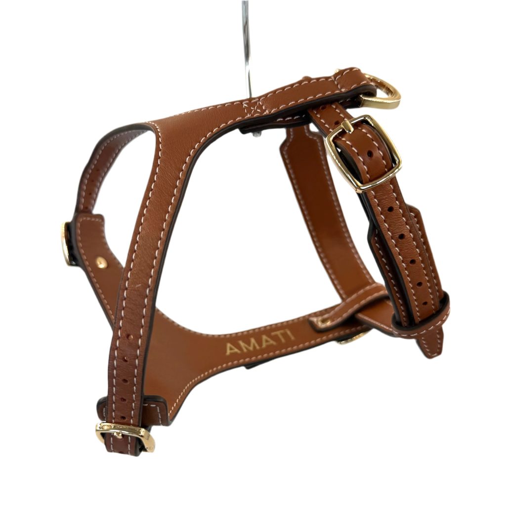 Amati H-Shape Harness