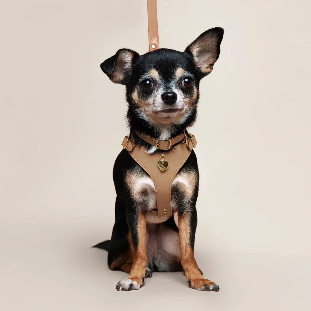 Amati Collection Soft Leather Harness