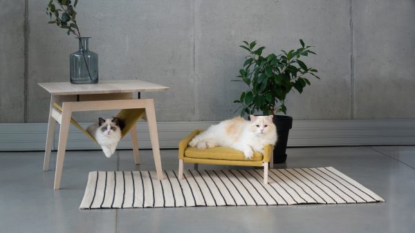 LABBVENN Kikko & Lulu Cat Set