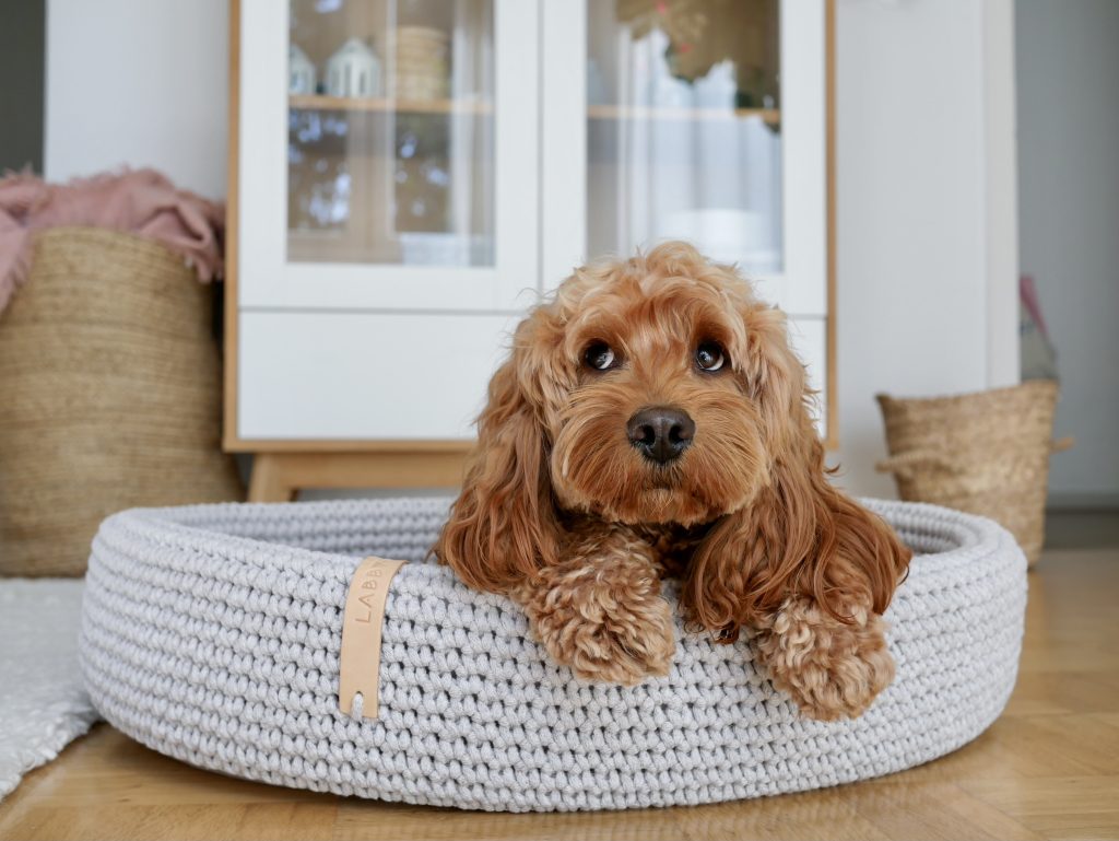 LABBVENN Lukko Dog Bed
