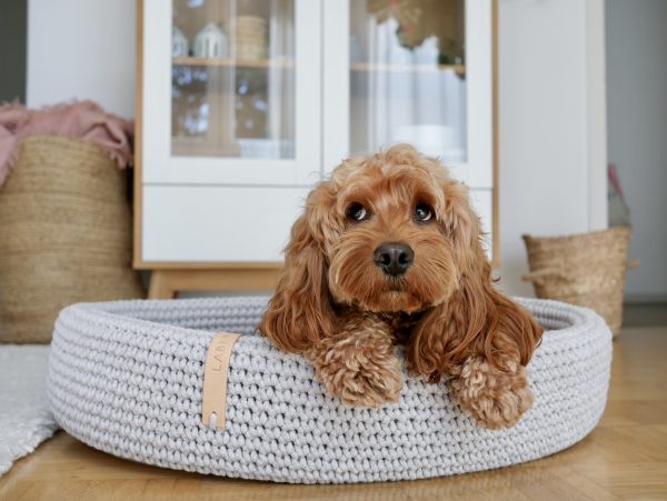LABBVENN Lukko Dog Bed