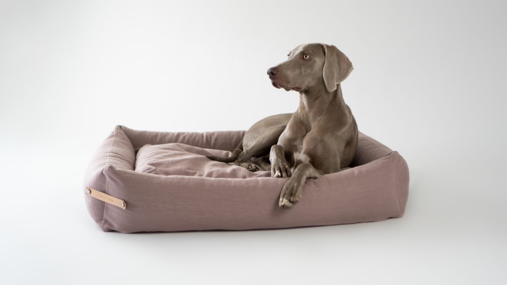 Labbvenn Stokke Dog Bed