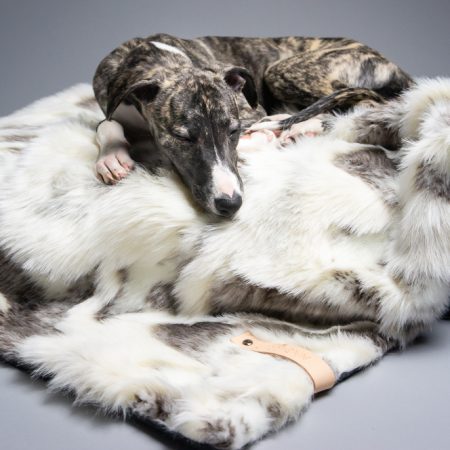 Labbvenn Tösse Blanket