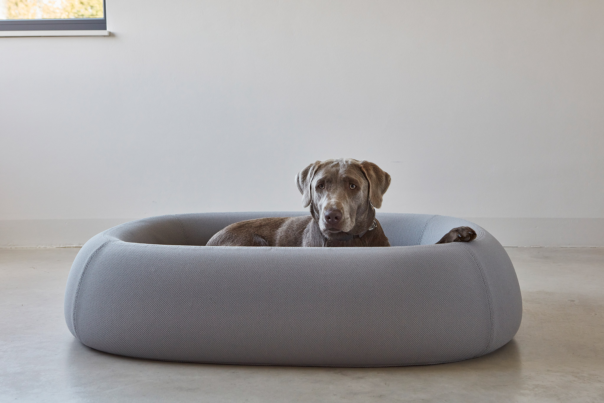 MiaCara Barca Dog Bed – Image 2