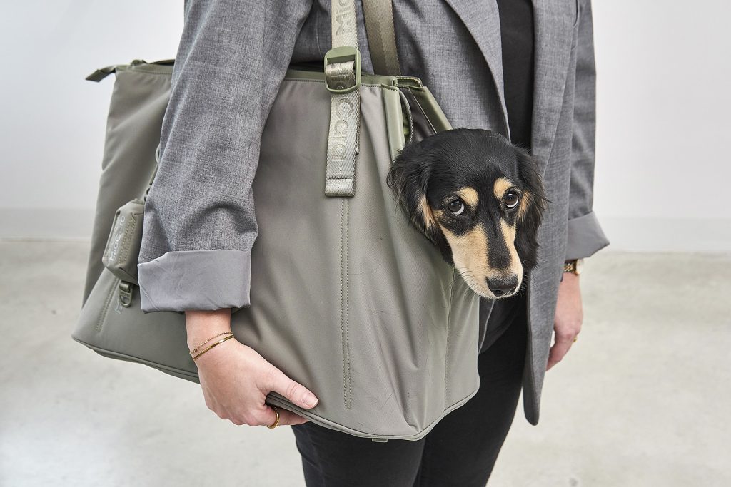 MiaCara Sporta Dog Carrier