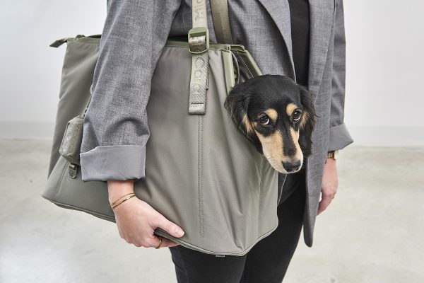 MiaCara Sporta Dog Carrier
