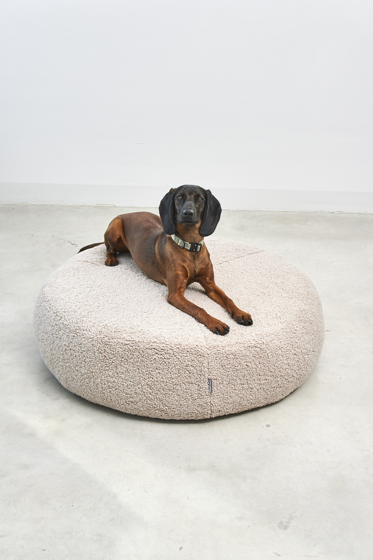 MiaCara Senso Dog Pouffe – Image 2