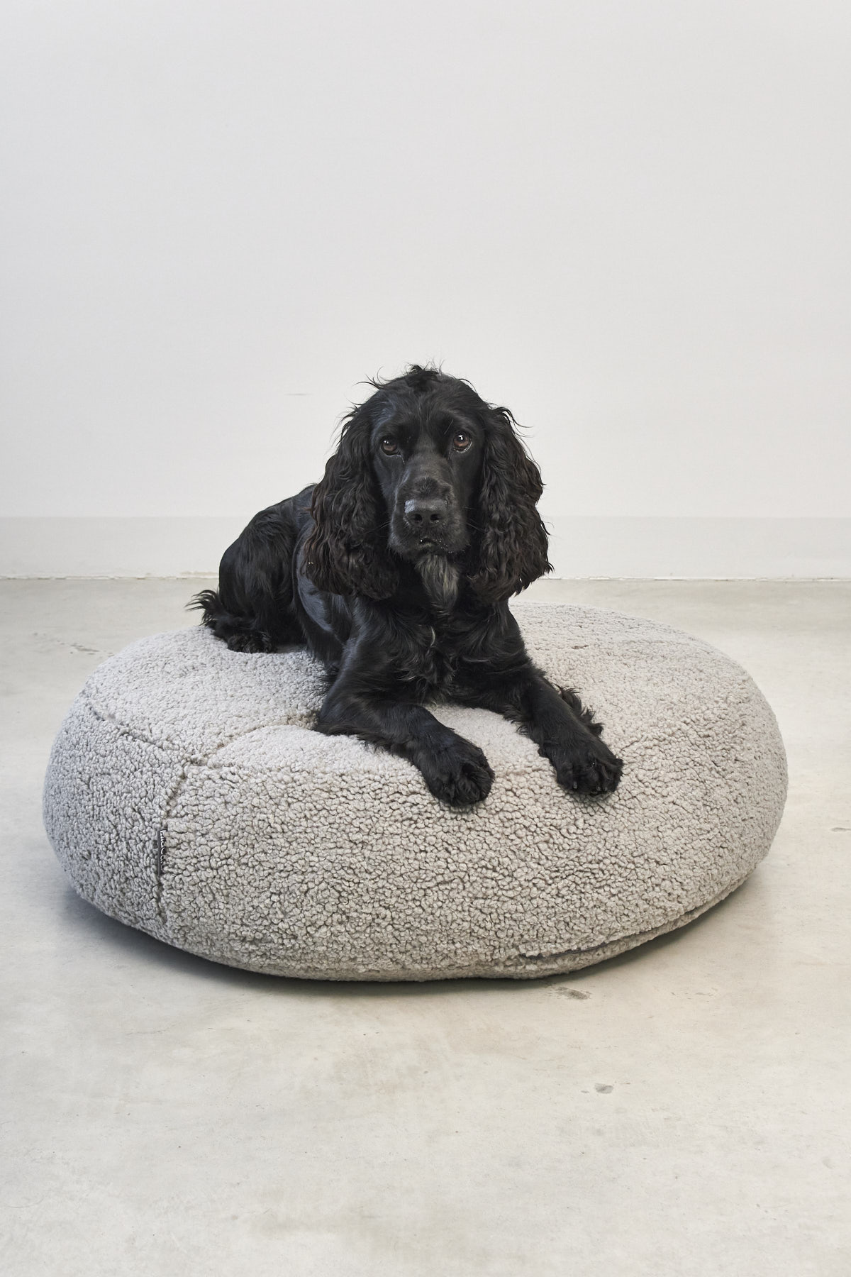MiaCara Senso Dog Pouffe – Image 3