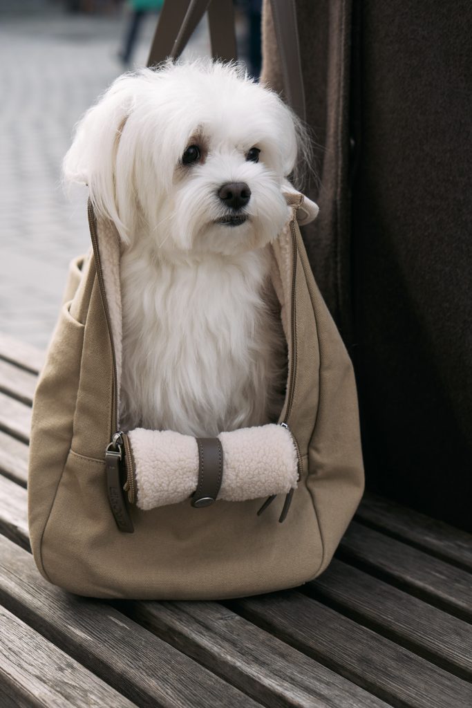 MiaCara Tasca Dog Carrier
