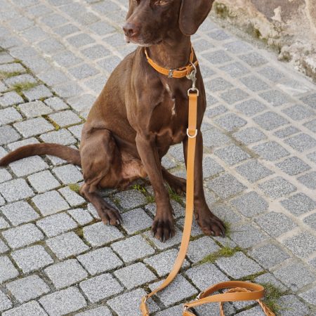 MiaCara Bergamo Dog Leash
