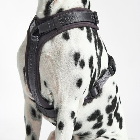 MiaCara Modena Dog Harness
