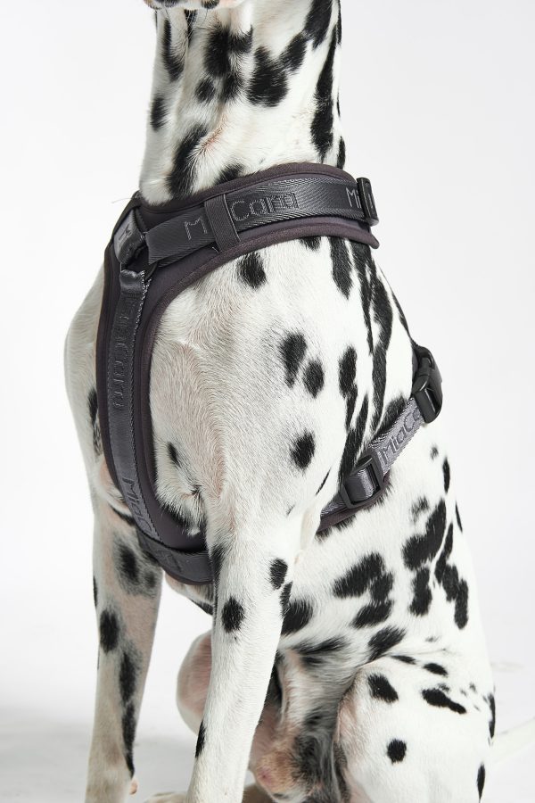 MiaCara Modena Dog Harness