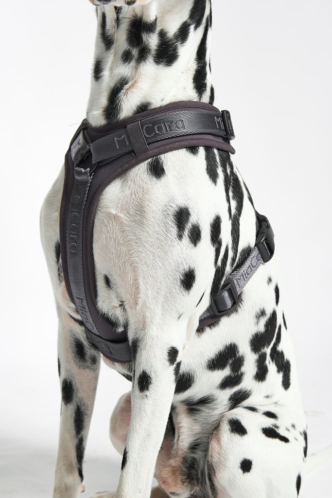 MiaCara Modena Dog Harness