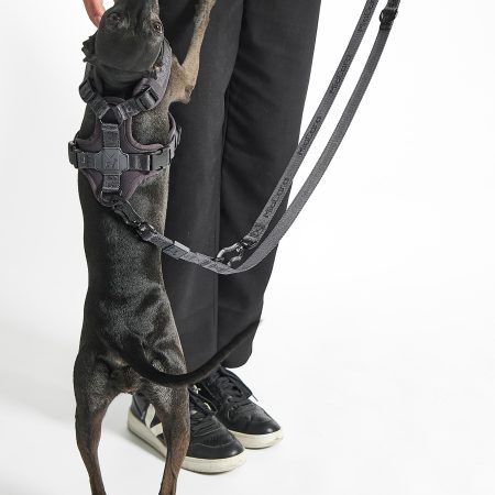 MiaCara Modena Dog Leash