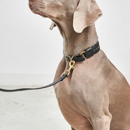 MiaCara Palermo Dog Collar