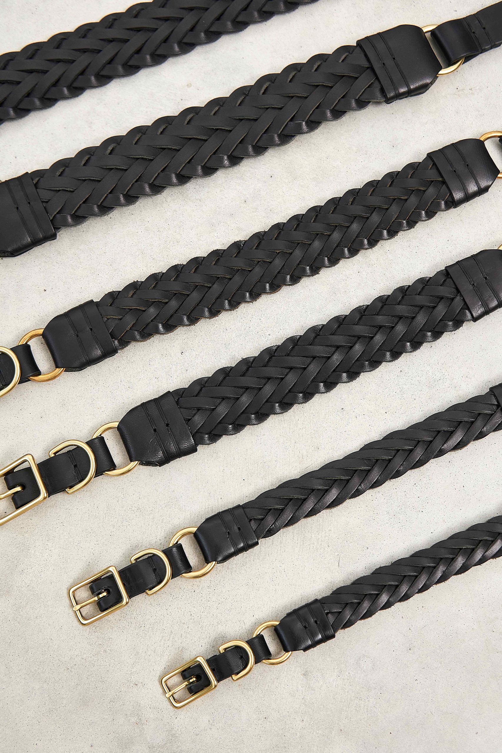 MiaCara Palermo Dog Collar – Image 4