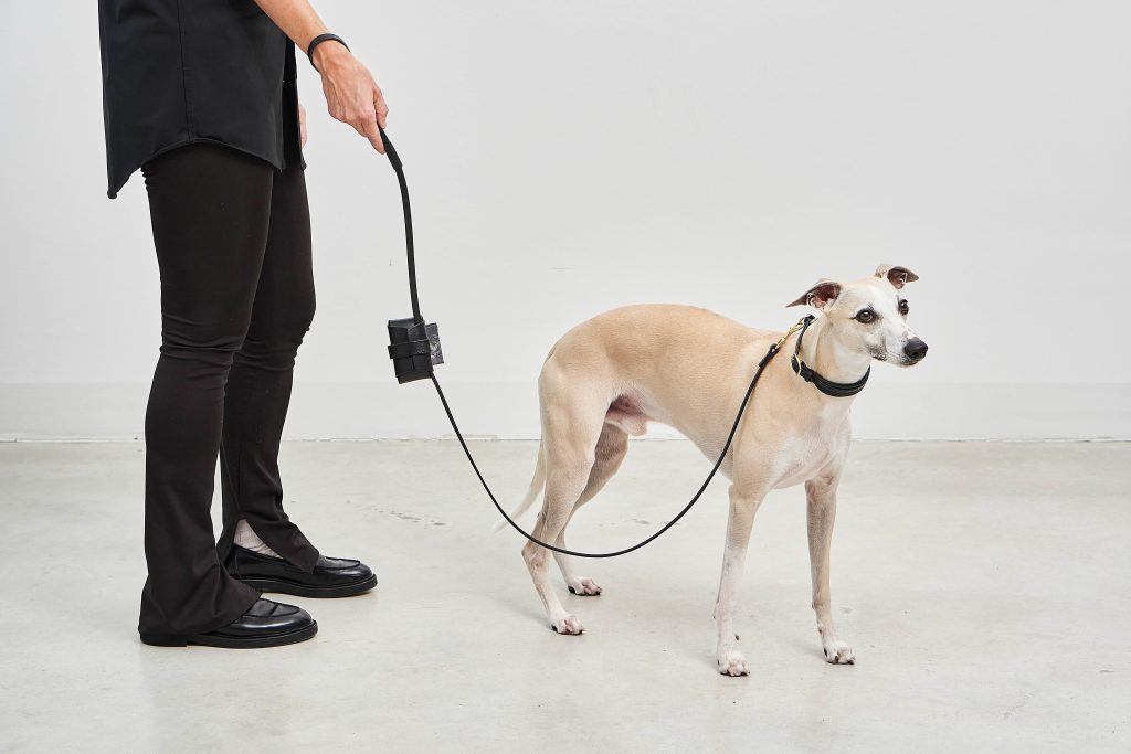 MiaCara Napoli Dog Leash