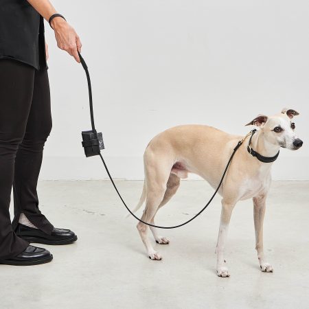 MiaCara Napoli Dog Leash