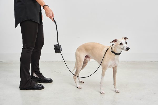 MiaCara Napoli Dog Leash