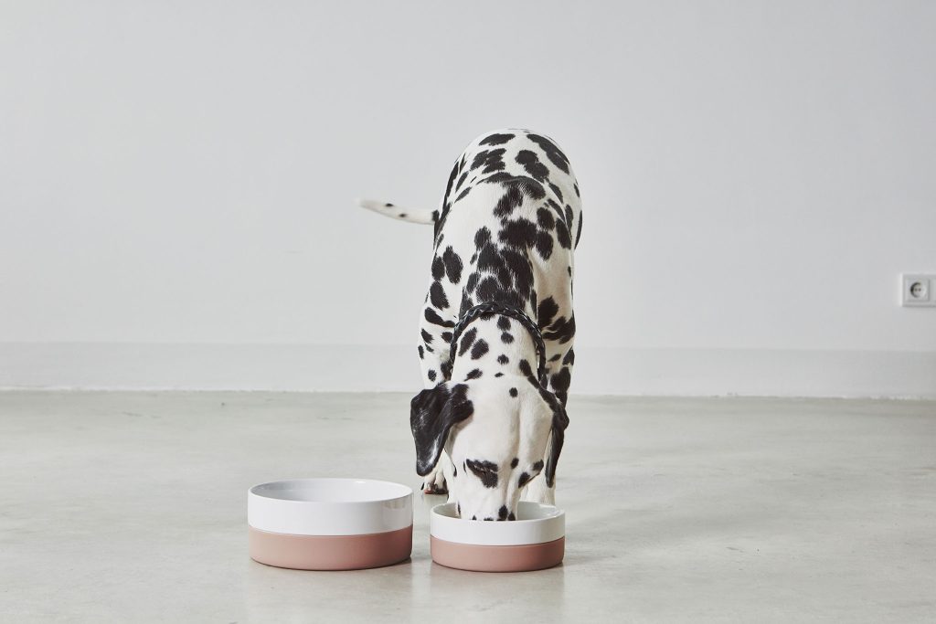 MiaCara Coppa Dog Bowl