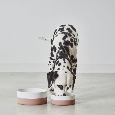 MiaCara Coppa Dog Bowl