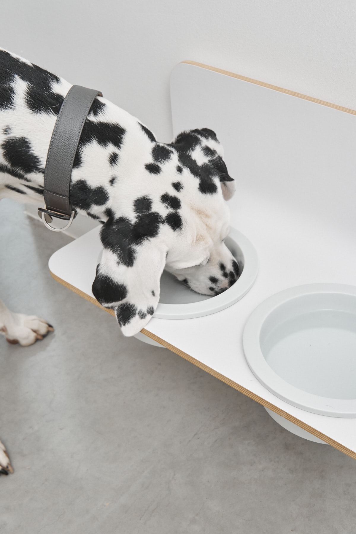 MiaCara Arco Dog Feeder – Image 2