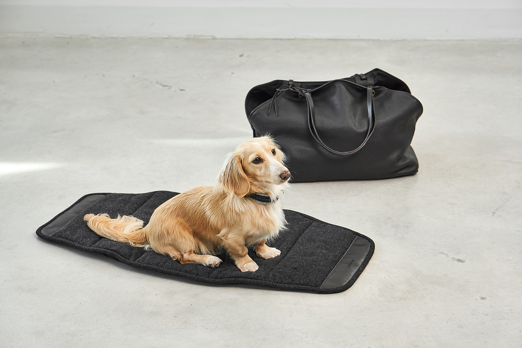 MiaCara Borsa Dog Carrier – Image 4
