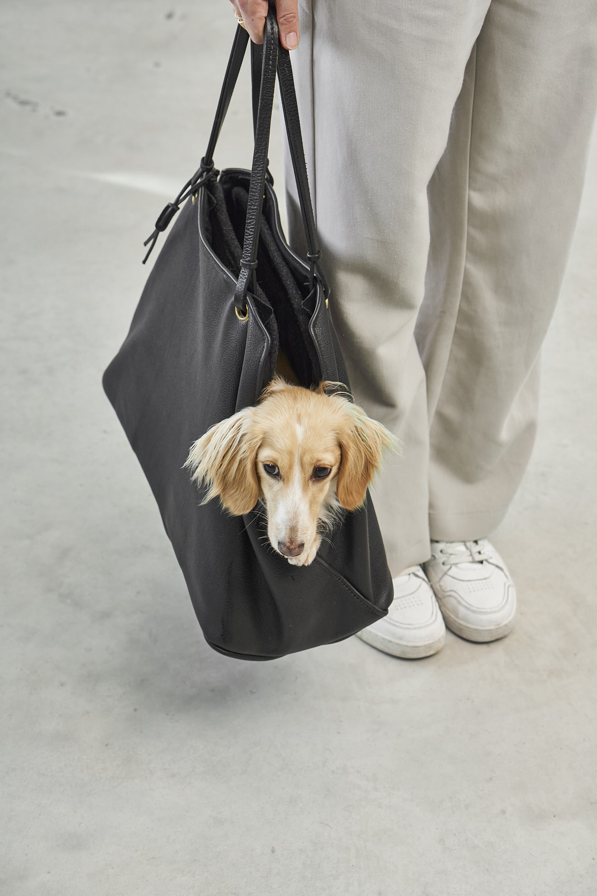 MiaCara Borsa Dog Carrier – Image 5