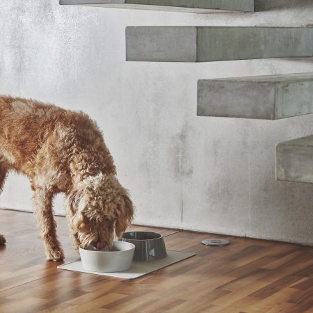 MiaCara Doppio Dog Porcelaine Bowl Set